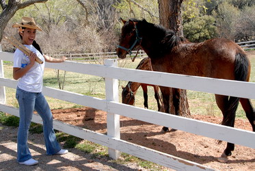 Click on this photo for a Full Screen image