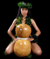 Click on this photo for a Full Screen image